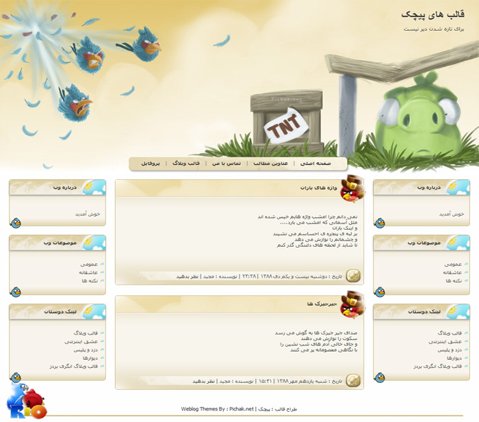 قالب انگری بردز